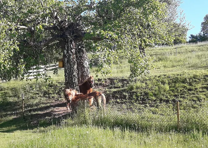 Bremer Feriehus Grillenberg (Sangerhausen)